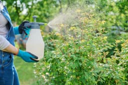 Agricultural logistics in India with fertilizer transport and rural distribution